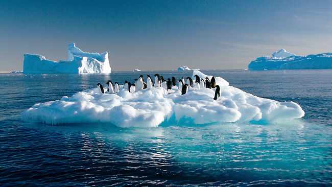 Antarctic Sea