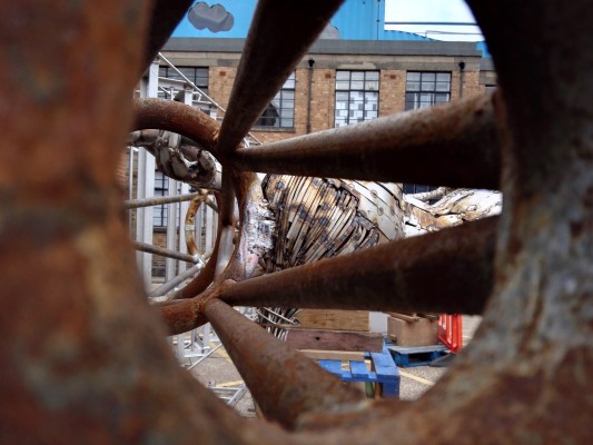 The Honor 6 Plus Camera Talk