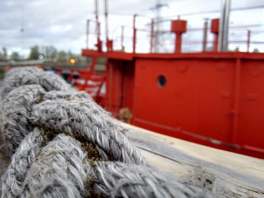 The Honor 6 Plus Camera Talk