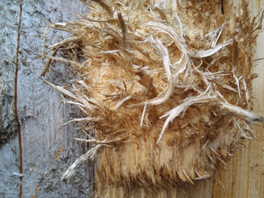 The Honor 6 Plus Camera Talk