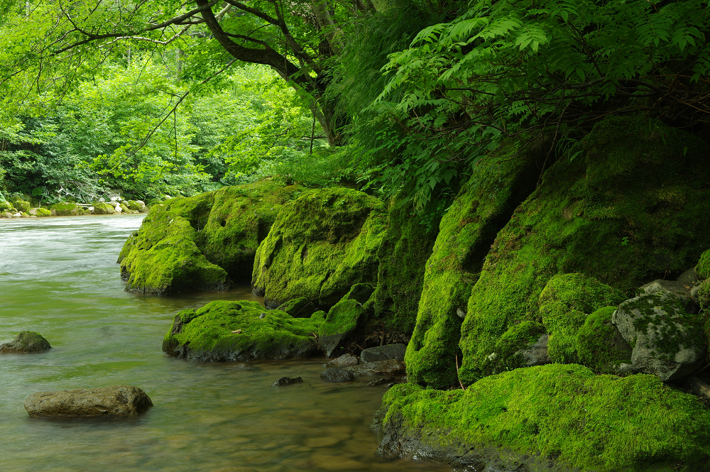 Pentax K3 Sample Photo