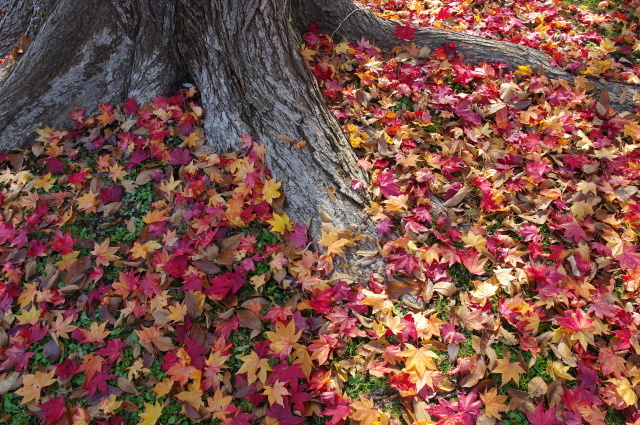 Pentax K3 Sample Photo