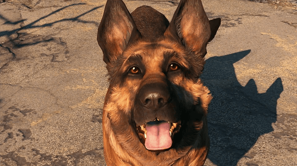 Fallout 4 Tips and Tricks Dogmeat