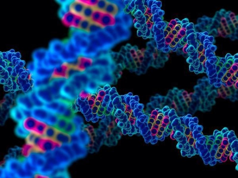 alt=Intricacies of Human Genome"