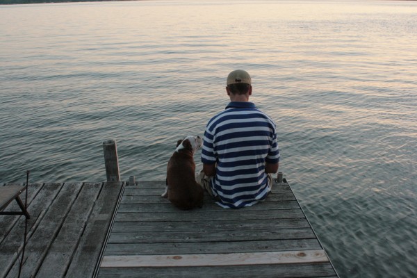 dogs favor praise instead of food