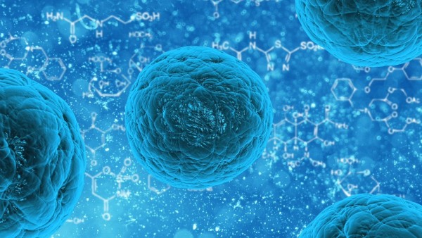 the stem cell therapy is permanently developing