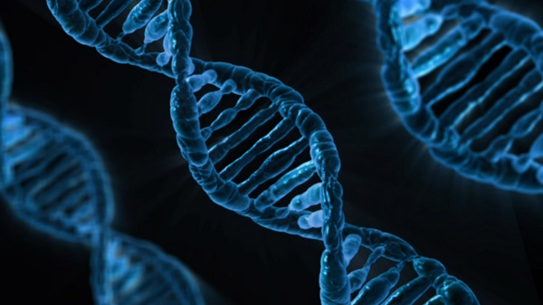 three DNA strands