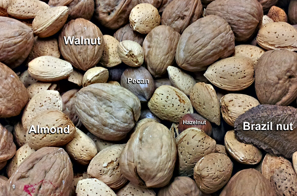 tree nuts