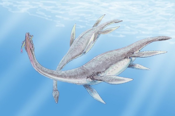 150 million year old plesiosaurus remains have been discovered on the tip of Antarctica.